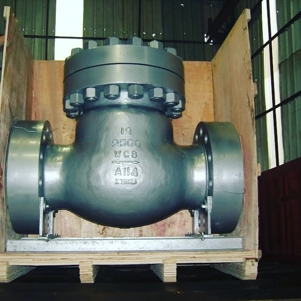 Check Valve Supplier In Tunisia